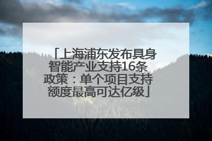 上海浦东发布具身智能产业支持16条政策：单个项目支持额度最高可达亿级