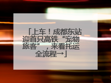上车！成都东站迎首只高铁“宠物旅客”，来看托运全流程→