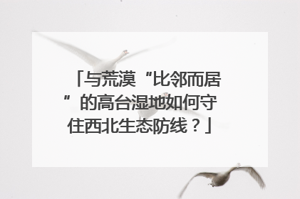 与荒漠“比邻而居”的高台湿地如何守住西北生态防线？