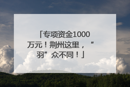 专项资金1000万元！荆州这里，“羽”众不同！