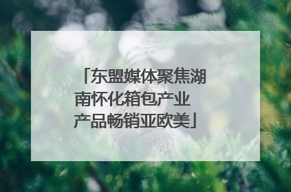 东盟媒体聚焦湖南怀化箱包产业 产品畅销亚欧美