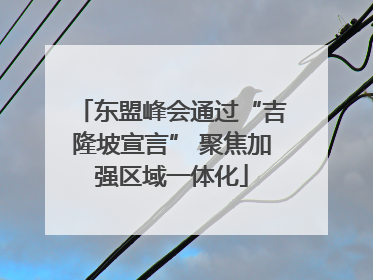 东盟峰会通过“吉隆坡宣言” 聚焦加强区域一体化