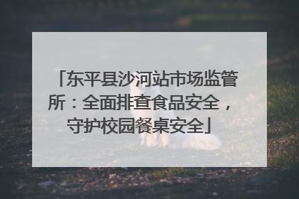 东平县沙河站市场监管所：全面排查食品安全，守护校园餐桌安全
