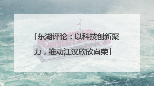 东湖评论：以科技创新聚力，推动江汉欣欣向荣