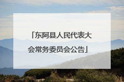 东阿县人民代表大会常务委员会公告