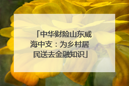 中华财险山东威海中支：为乡村居民送去金融知识
