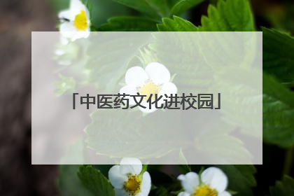 中医药文化进校园
