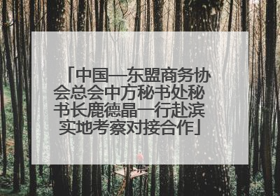 中国—东盟商务协会总会中方秘书处秘书长鹿德晶一行赴滨实地考察对接合作
