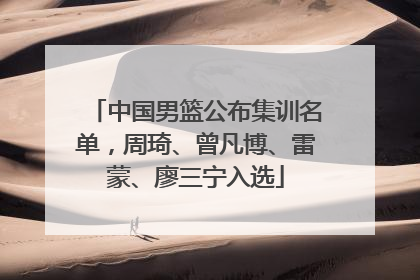 中国男篮公布集训名单，周琦、曾凡博、雷蒙、廖三宁入选