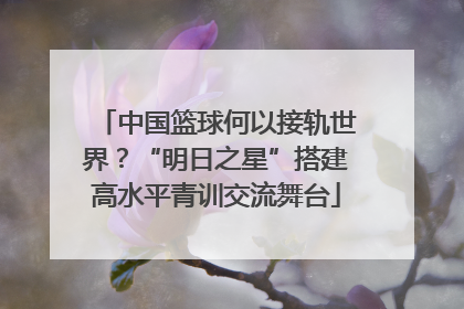 中国篮球何以接轨世界？“明日之星”搭建高水平青训交流舞台