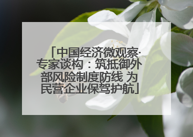 中国经济微观察·专家谈构：筑抵御外部风险制度防线 为民营企业保驾护航