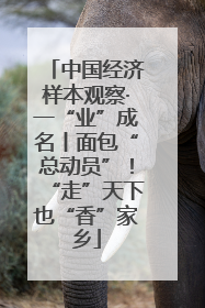 中国经济样本观察·一“业”成名丨面包“总动员”！“走”天下也“香”家乡