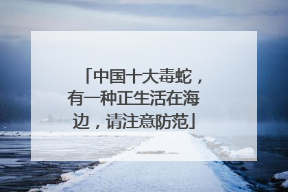中国十大毒蛇，有一种正生活在海边，请注意防范