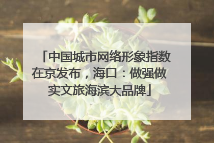 中国城市网络形象指数在京发布，海口：做强做实文旅海滨大品牌