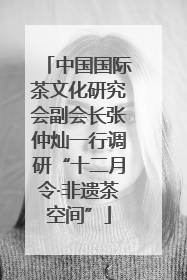 中国国际茶文化研究会副会长张仲灿一行调研“十二月令·非遗茶空间”