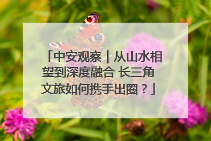 中安观察｜从山水相望到深度融合 长三角文旅如何携手出圈？