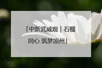 中新武威观｜石榴同心 筑梦凉州