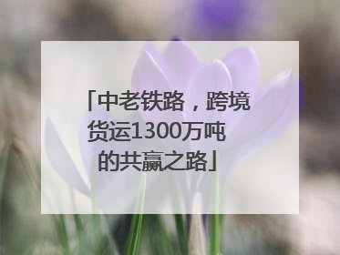 中老铁路，跨境货运1300万吨的共赢之路
