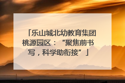 乐山城北幼教育集团桃源园区：“聚焦前书写，科学助衔接”