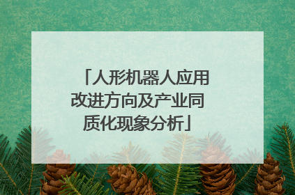 人形机器人应用改进方向及产业同质化现象分析