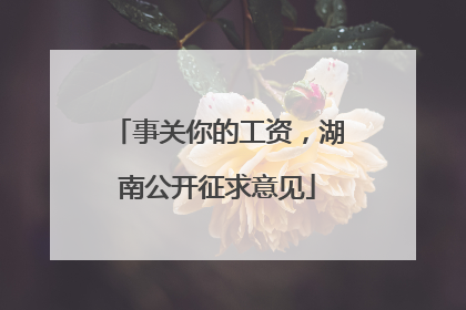 事关你的工资，湖南公开征求意见
