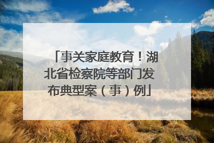 事关家庭教育！湖北省检察院等部门发布典型案（事）例