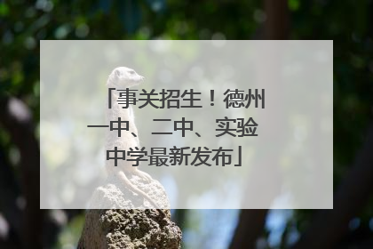 事关招生！德州一中、二中、实验中学最新发布
