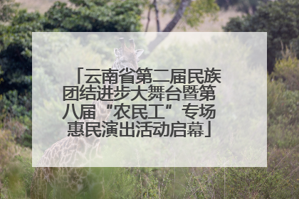 云南省第二届民族团结进步大舞台暨第八届“农民工”专场惠民演出活动启幕