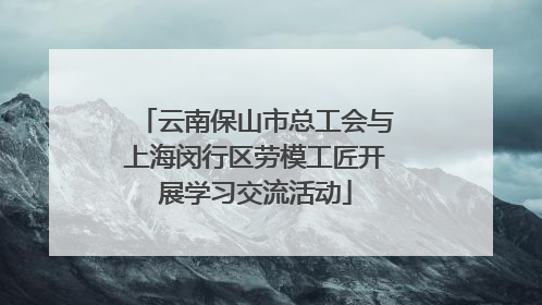 云南保山市总工会与上海闵行区劳模工匠开展学习交流活动