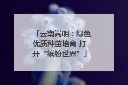 云南嵩明：绿色优质种苗培育 打开“缤纷世界”