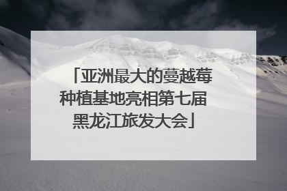 亚洲最大的蔓越莓种植基地亮相第七届黑龙江旅发大会