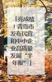 亮成绩！青岛市发布民营和中小企业高质量发展“半年报”