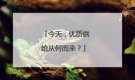 今天，优质供给从何而来？