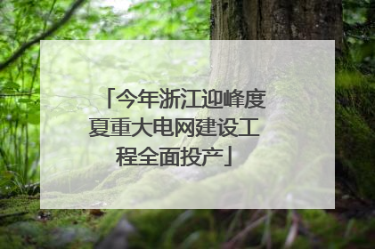 今年浙江迎峰度夏重大电网建设工程全面投产