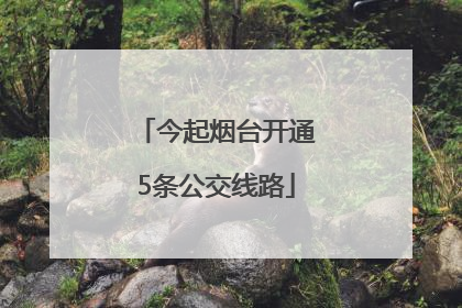 今起烟台开通5条公交线路