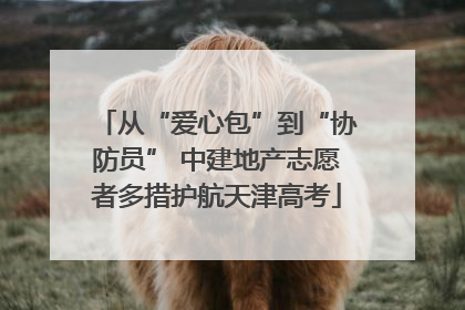 从“爱心包”到“协防员” 中建地产志愿者多措护航天津高考