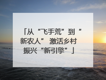 从“飞手荒”到“新农人” 激活乡村振兴“新引擎”