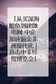 从买深海鳀鱼到建微电网 中企加速掘金非洲现代化｜直击中非经贸博览会