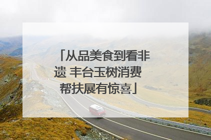 从品美食到看非遗 丰台玉树消费帮扶展有惊喜