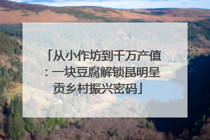 从小作坊到千万产值：一块豆腐解锁昆明呈贡乡村振兴密码