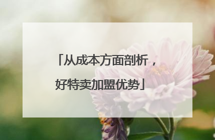 从成本方面剖析，好特卖加盟优势