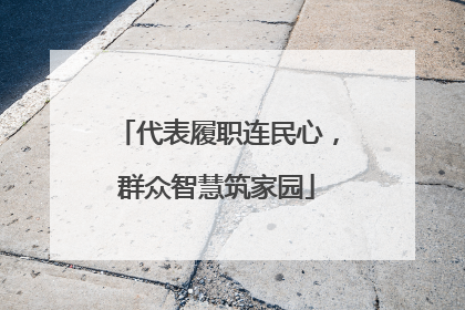 代表履职连民心，群众智慧筑家园