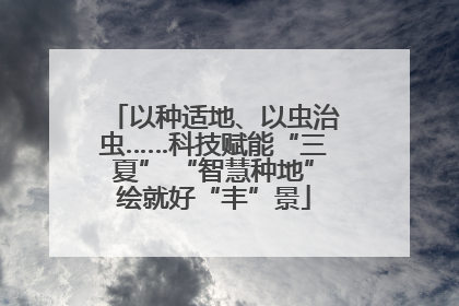 以种适地、以虫治虫……科技赋能“三夏” “智慧种地”绘就好“丰”景