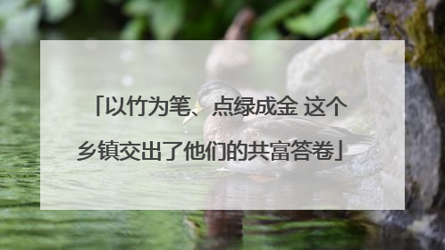 以竹为笔、点绿成金 这个乡镇交出了他们的共富答卷
