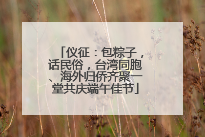 仪征：包粽子，话民俗，台湾同胞、海外归侨齐聚一堂共庆端午佳节
