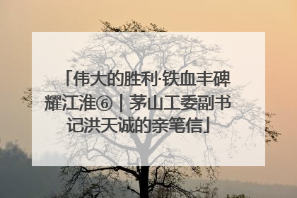 伟大的胜利·铁血丰碑耀江淮⑥｜茅山工委副书记洪天诚的亲笔信