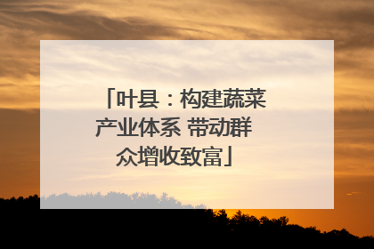 叶县：构建蔬菜产业体系 带动群众增收致富
