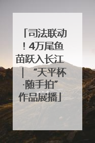 司法联动！4万尾鱼苗跃入长江｜“天平杯·随手拍”作品展播