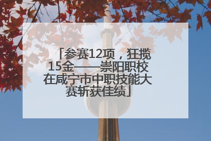 参赛12项，狂揽15金——崇阳职校在咸宁市中职技能大赛斩获佳绩