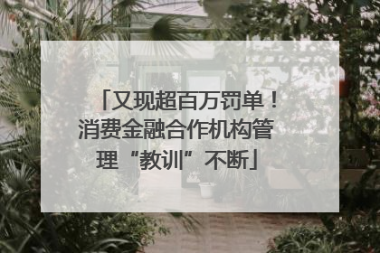 又现超百万罚单！消费金融合作机构管理“教训”不断